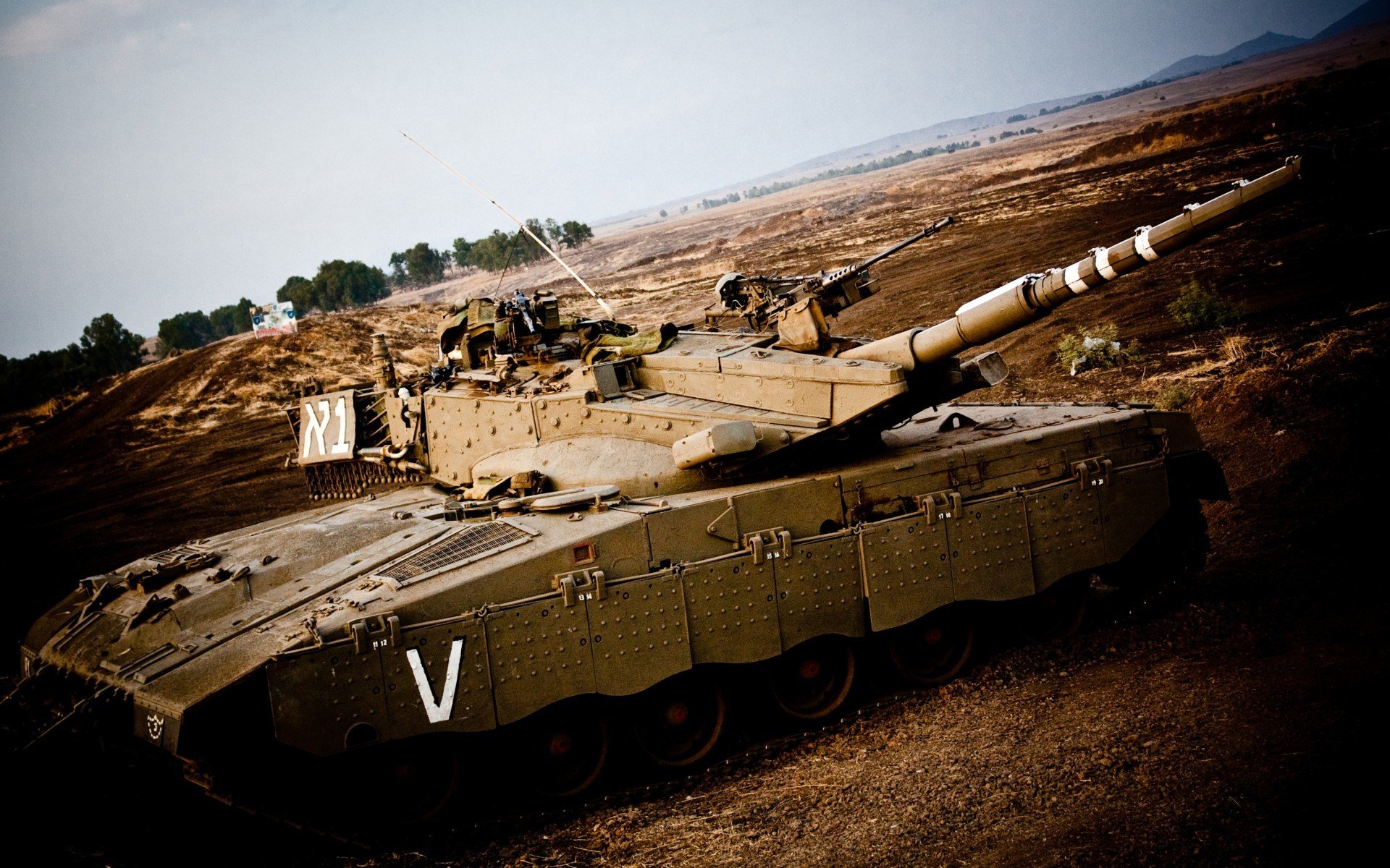 澳德蝶泳高频划水策略效果对比