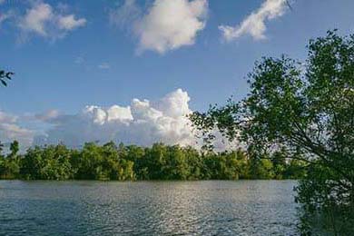 李娜建议职业选手关注心理建设问题，李娜对抗李娜体现的组织行为学知识点